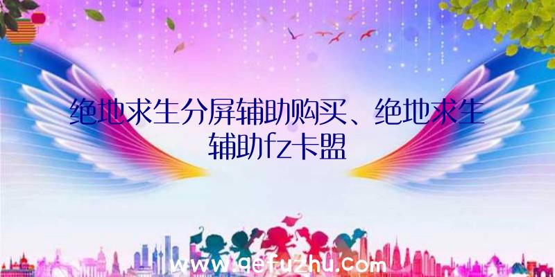 绝地求生分屏辅助购买、绝地求生辅助fz卡盟