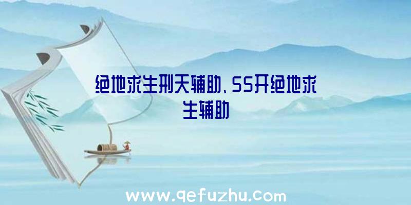 绝地求生刑天辅助、55开绝地求生辅助