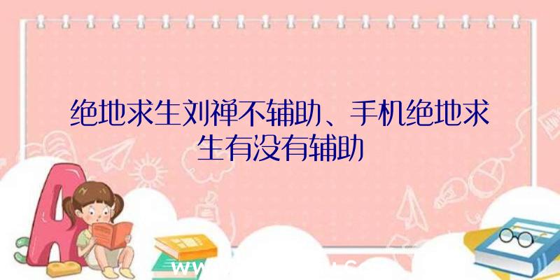 绝地求生刘禅不辅助、手机绝地求生有没有辅助