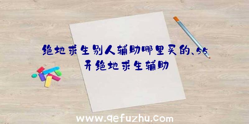 绝地求生别人辅助哪里买的、55开绝地求生辅助