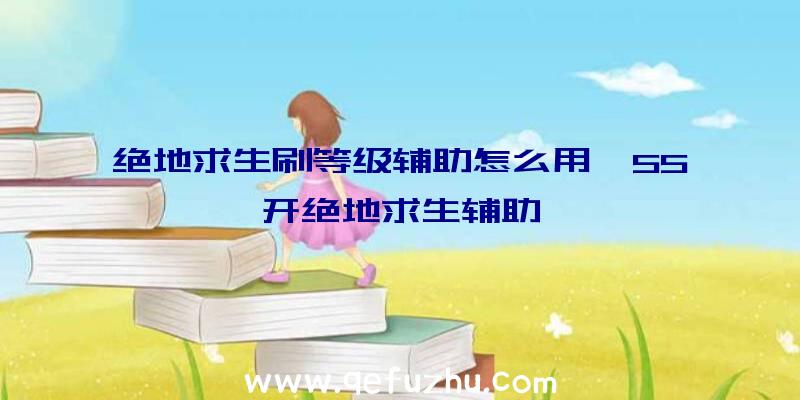 绝地求生刷等级辅助怎么用、55开绝地求生辅助