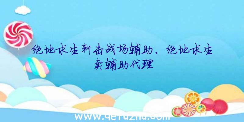 绝地求生刺击战场辅助、绝地求生卖辅助代理