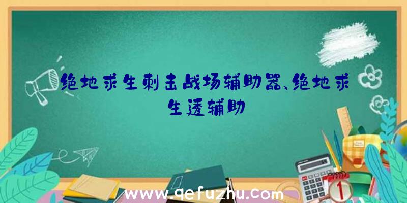 绝地求生刺击战场辅助器、绝地求生透辅助