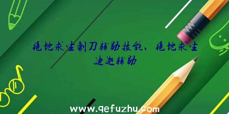 绝地求生刺刀辅助技能、绝地求生迪迦辅助