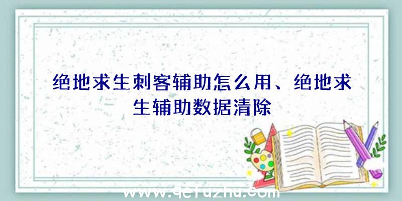 绝地求生刺客辅助怎么用、绝地求生辅助数据清除