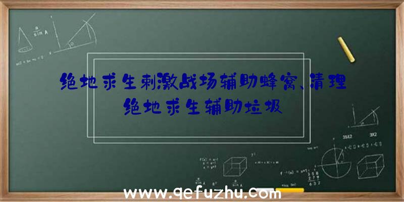 绝地求生剌激战场辅助蜂窝、清理绝地求生辅助垃圾