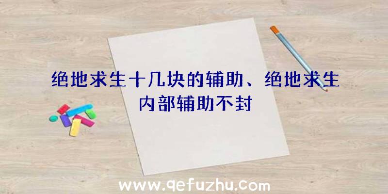 绝地求生十几块的辅助、绝地求生内部辅助不封