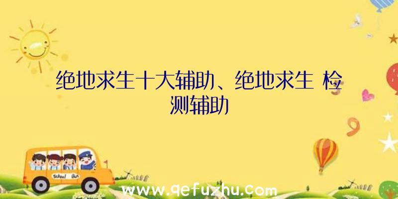 绝地求生十大辅助、绝地求生