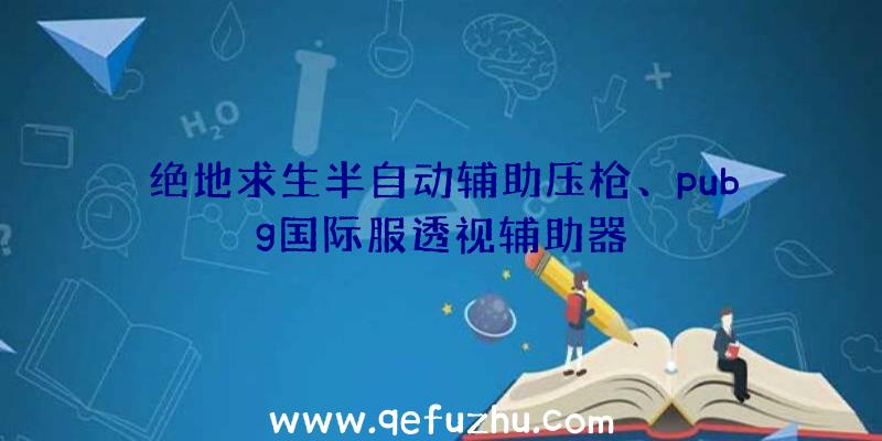 绝地求生半自动辅助压枪、pubg国际服透视辅助器