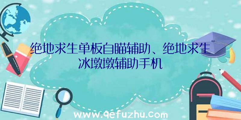 绝地求生单板自瞄辅助、绝地求生冰墩墩辅助手机