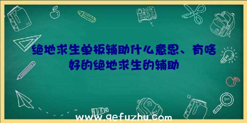 绝地求生单板辅助什么意思、有啥好的绝地求生的辅助