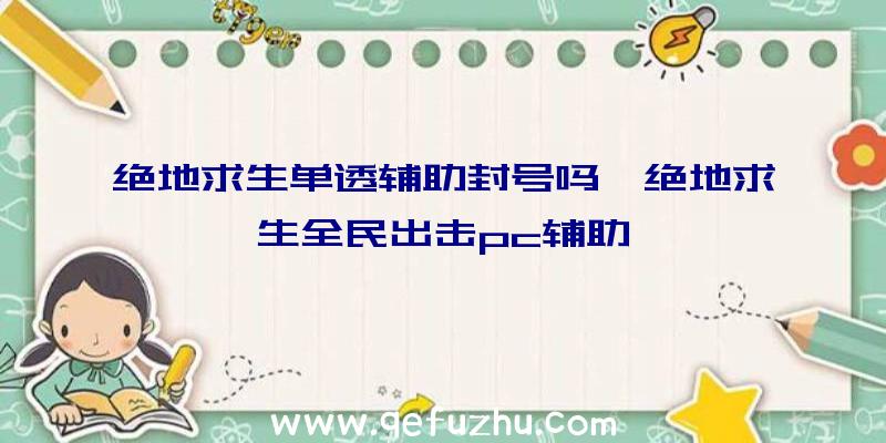 绝地求生单透辅助封号吗、绝地求生全民出击pc辅助