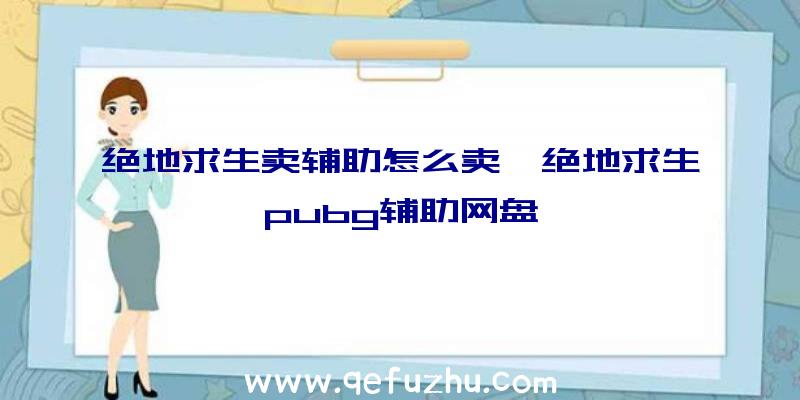 绝地求生卖辅助怎么卖、绝地求生pubg辅助网盘