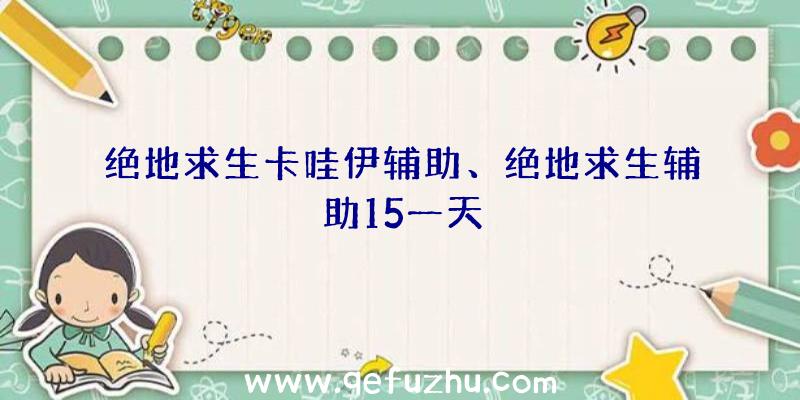 绝地求生卡哇伊辅助、绝地求生辅助15一天