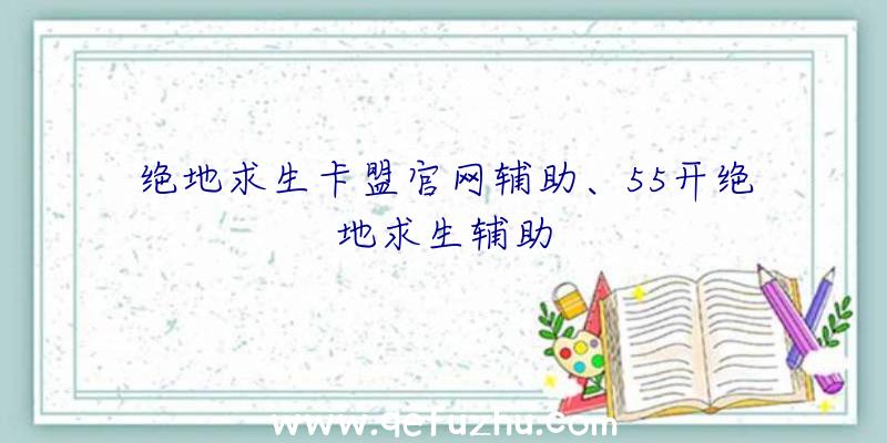 绝地求生卡盟官网辅助、55开绝地求生辅助