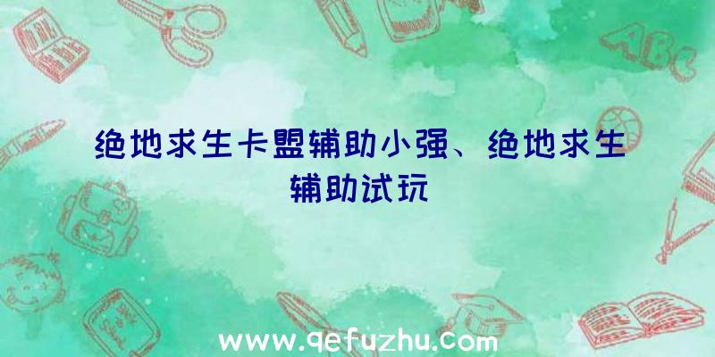 绝地求生卡盟辅助小强、绝地求生辅助试玩