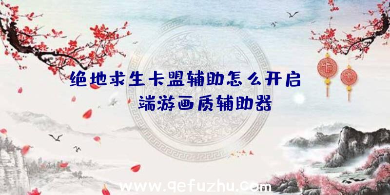 绝地求生卡盟辅助怎么开启、pubg端游画质辅助器