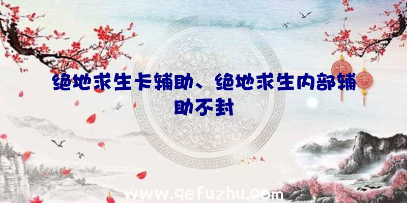 绝地求生卡辅助、绝地求生内部辅助不封