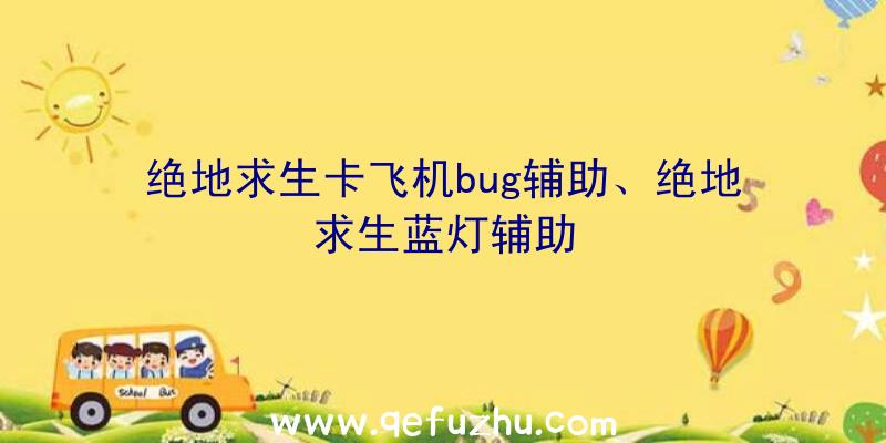 绝地求生卡飞机bug辅助、绝地求生蓝灯辅助