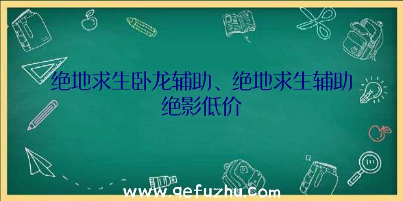 绝地求生卧龙辅助、绝地求生辅助绝影低价