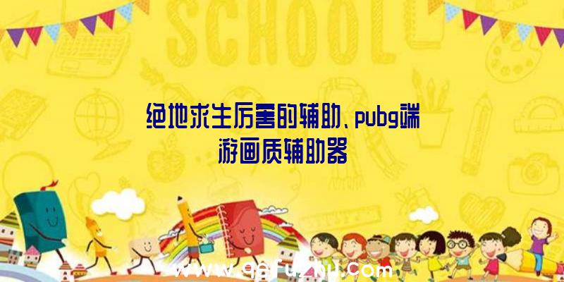 绝地求生厉害的辅助、pubg端游画质辅助器