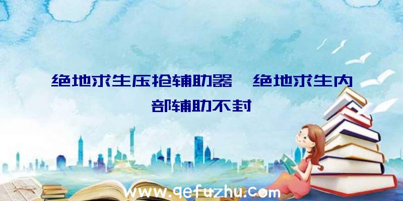 绝地求生压抢辅助器、绝地求生内部辅助不封