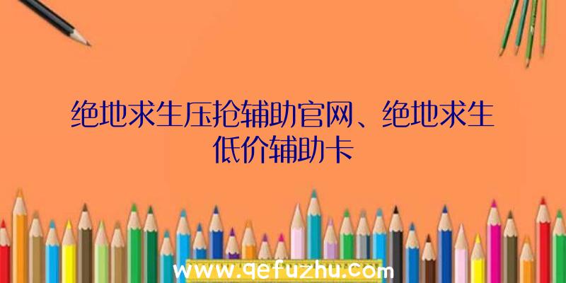 绝地求生压抢辅助官网、绝地求生低价辅助卡