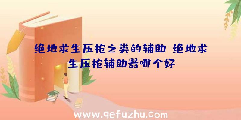 绝地求生压枪之类的辅助、绝地求生压枪辅助器哪个好