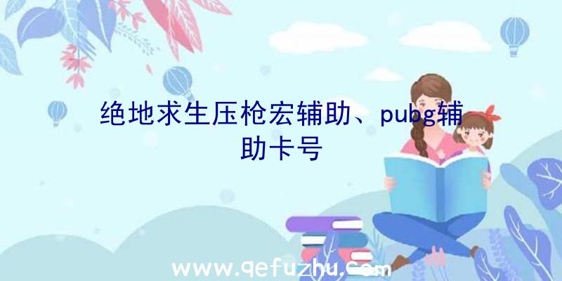 绝地求生压枪宏辅助、pubg辅助卡号