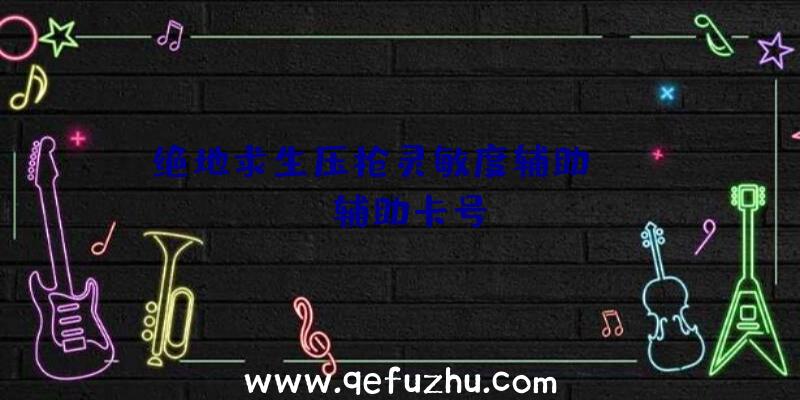 绝地求生压枪灵敏度辅助、pubg辅助卡号