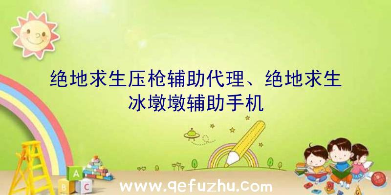 绝地求生压枪辅助代理、绝地求生冰墩墩辅助手机