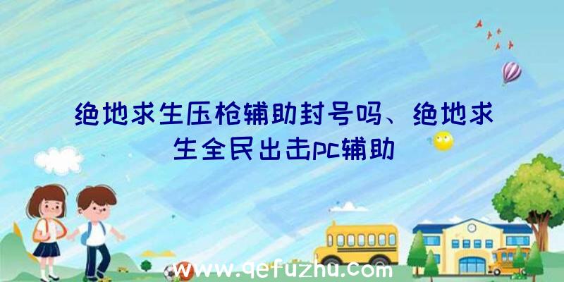 绝地求生压枪辅助封号吗、绝地求生全民出击pc辅助