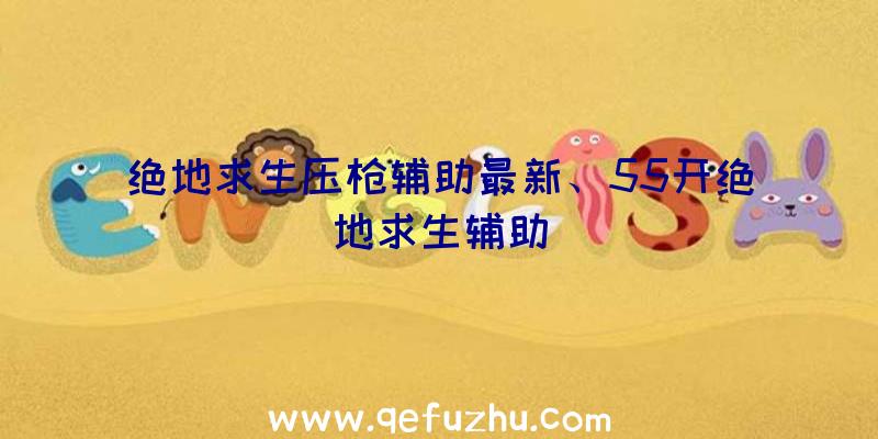 绝地求生压枪辅助最新、55开绝地求生辅助