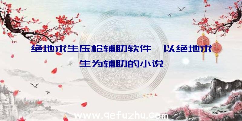 绝地求生压枪辅助软件、以绝地求生为辅助的小说