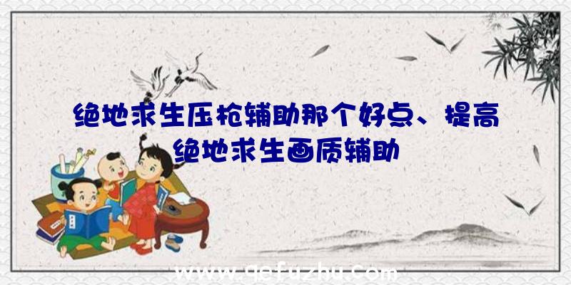 绝地求生压枪辅助那个好点、提高绝地求生画质辅助