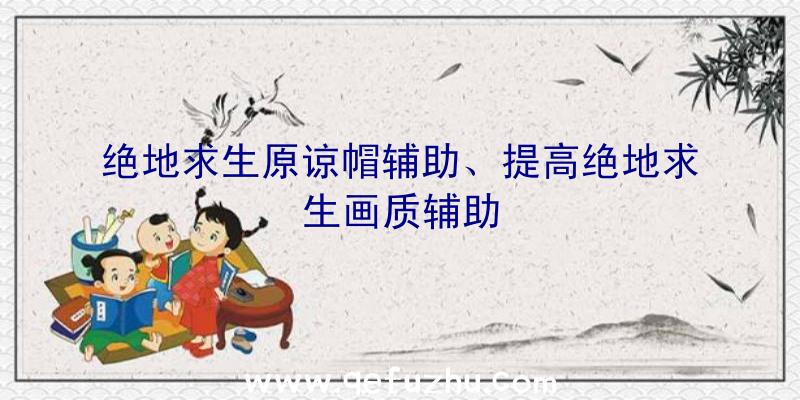 绝地求生原谅帽辅助、提高绝地求生画质辅助