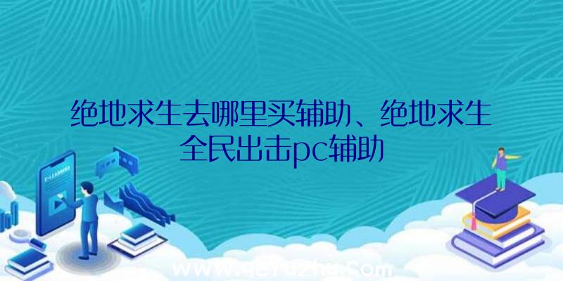 绝地求生去哪里买辅助、绝地求生全民出击pc辅助