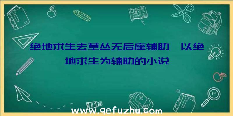 绝地求生去草丛无后座辅助、以绝地求生为辅助的小说