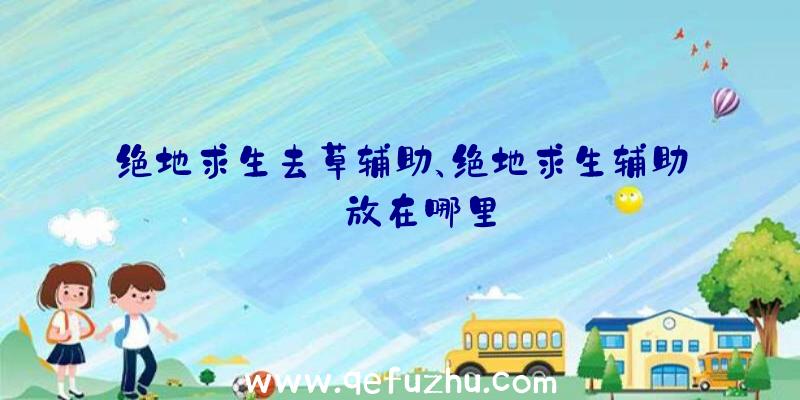 绝地求生去草辅助、绝地求生辅助