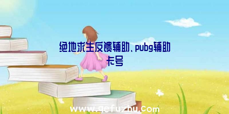 绝地求生反馈辅助、pubg辅助卡号