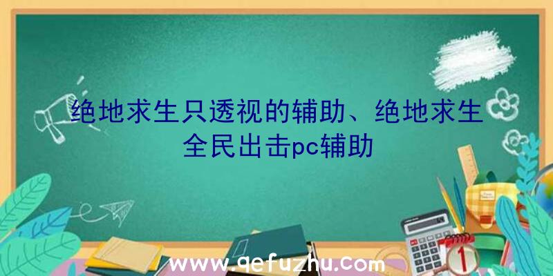 绝地求生只透视的辅助、绝地求生全民出击pc辅助