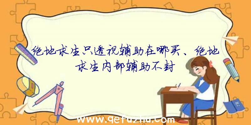 绝地求生只透视辅助在哪买、绝地求生内部辅助不封