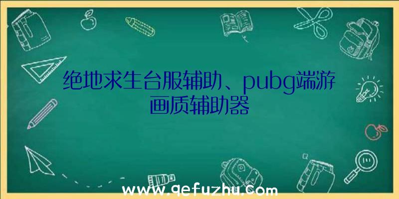 绝地求生台服辅助、pubg端游画质辅助器