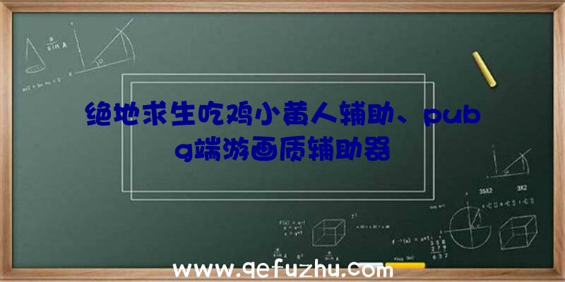 绝地求生吃鸡小黄人辅助、pubg端游画质辅助器