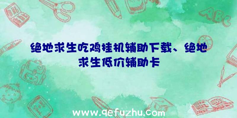 绝地求生吃鸡挂机辅助下载、绝地求生低价辅助卡