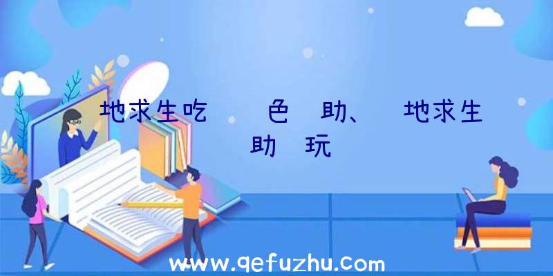 绝地求生吃鸡绿色辅助、绝地求生辅助试玩