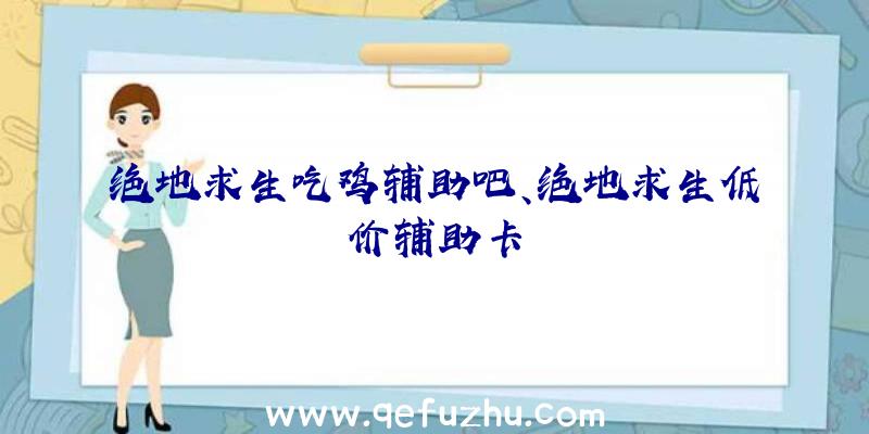 绝地求生吃鸡辅助吧、绝地求生低价辅助卡