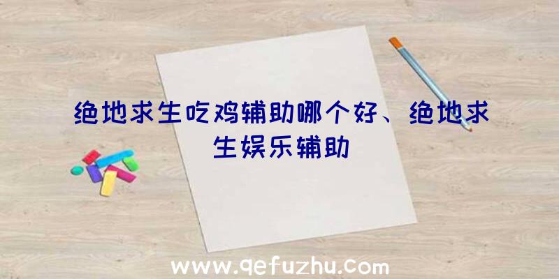 绝地求生吃鸡辅助哪个好、绝地求生娱乐辅助