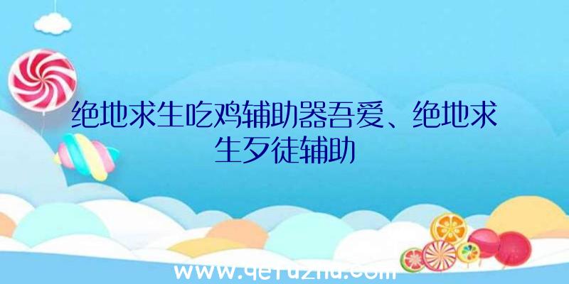 绝地求生吃鸡辅助器吾爱、绝地求生歹徒辅助