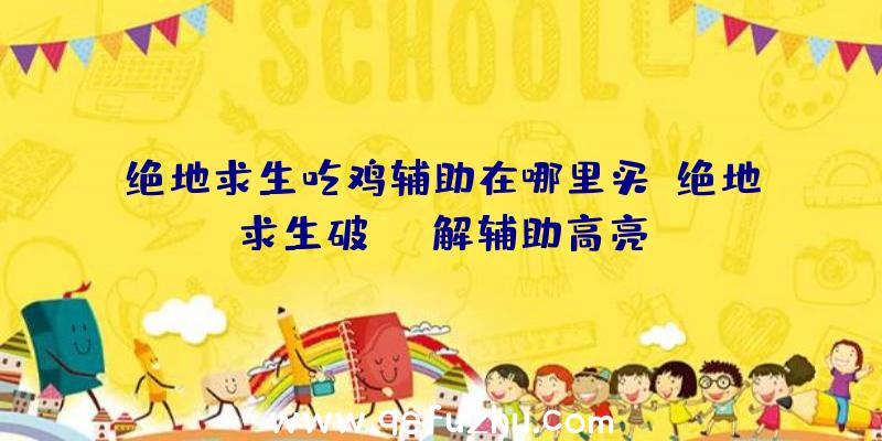 绝地求生吃鸡辅助在哪里买、绝地求生破解辅助高亮